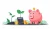 Smart Savings Strategies for Beginners